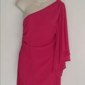 hot pink like new Evan picone dress